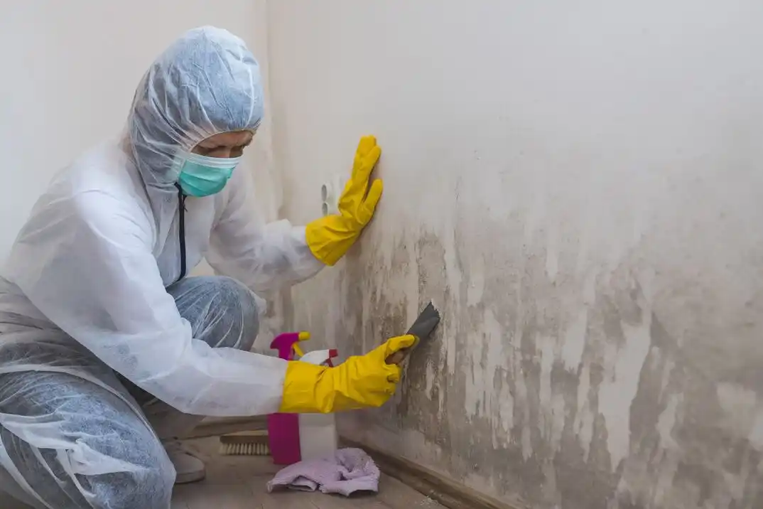 water damage restoration service The Woodlands